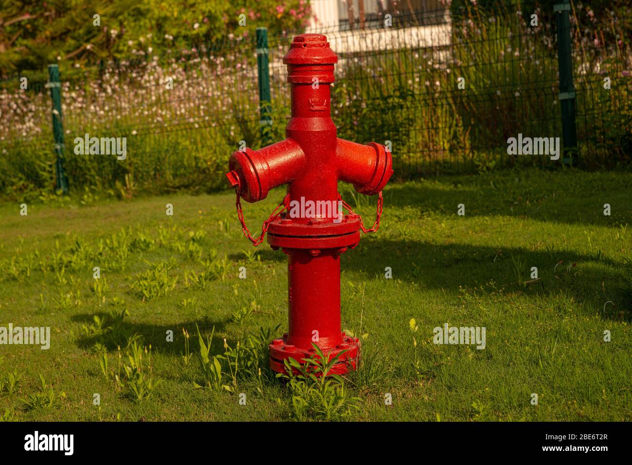Ein roter Eisen Retro Feuerhahn auf grünem Rasen Stockfoto