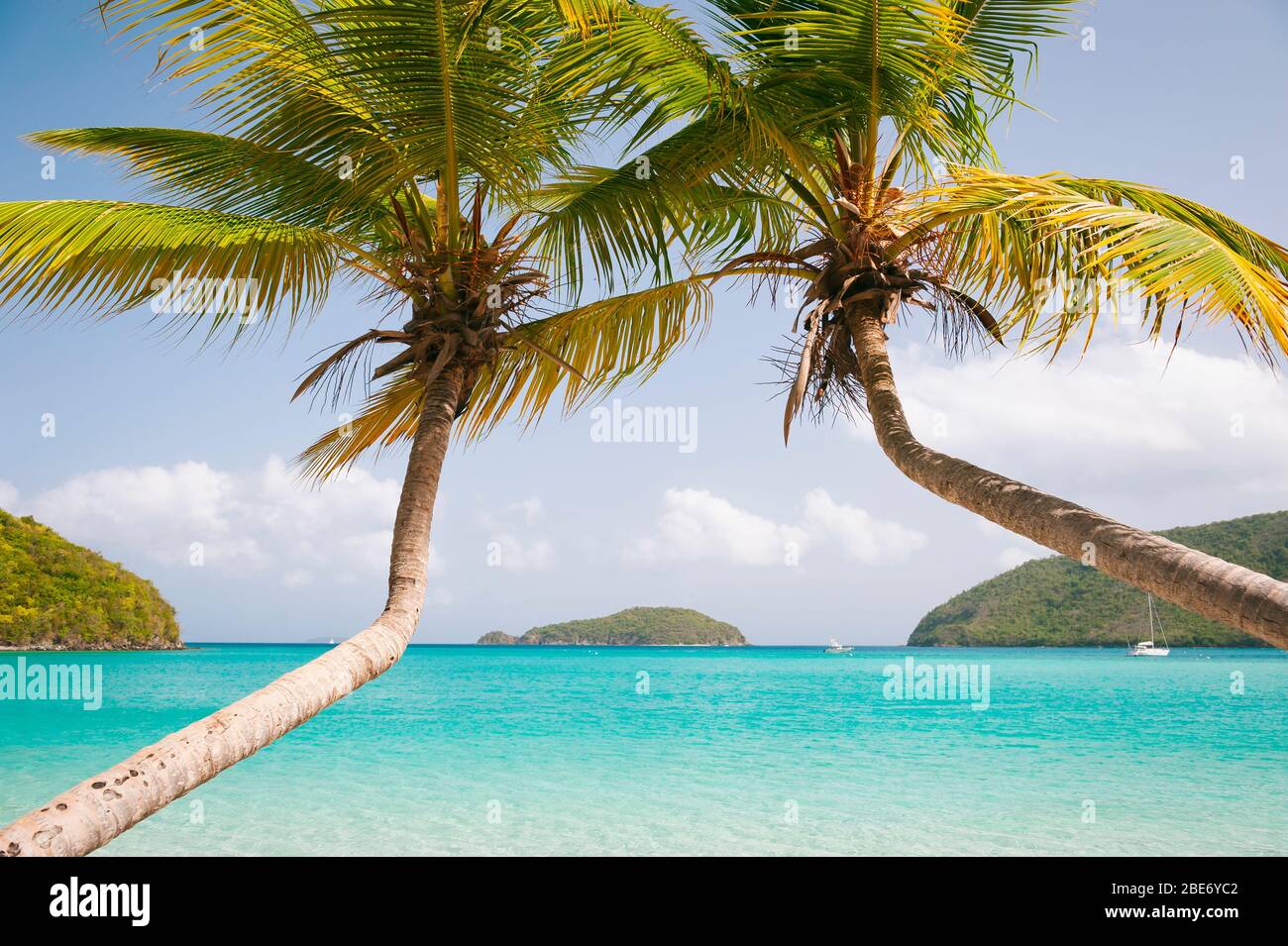 Palmen kurven sich zusammen über eine Postkarte perfekte karibische Strandszene in den Virgin Islands Stockfoto