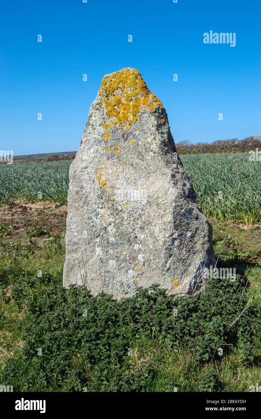 Die Drift Stones, antike Stätte, Cornwall UK Stockfoto