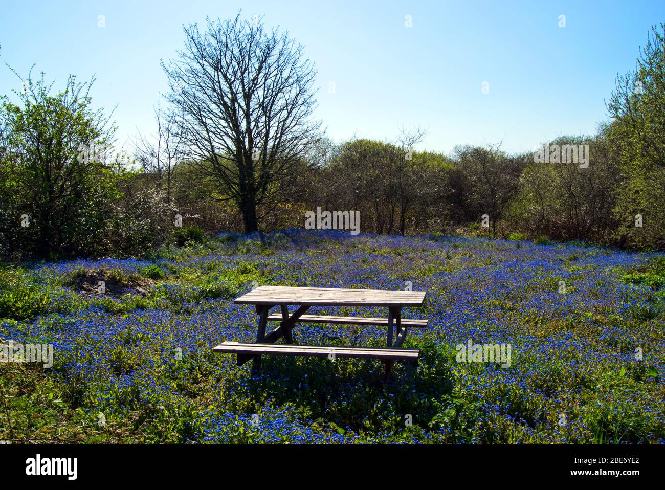 Picknickbereich in der Nähe von Chyenal, Cornwall, Großbritannien Stockfoto