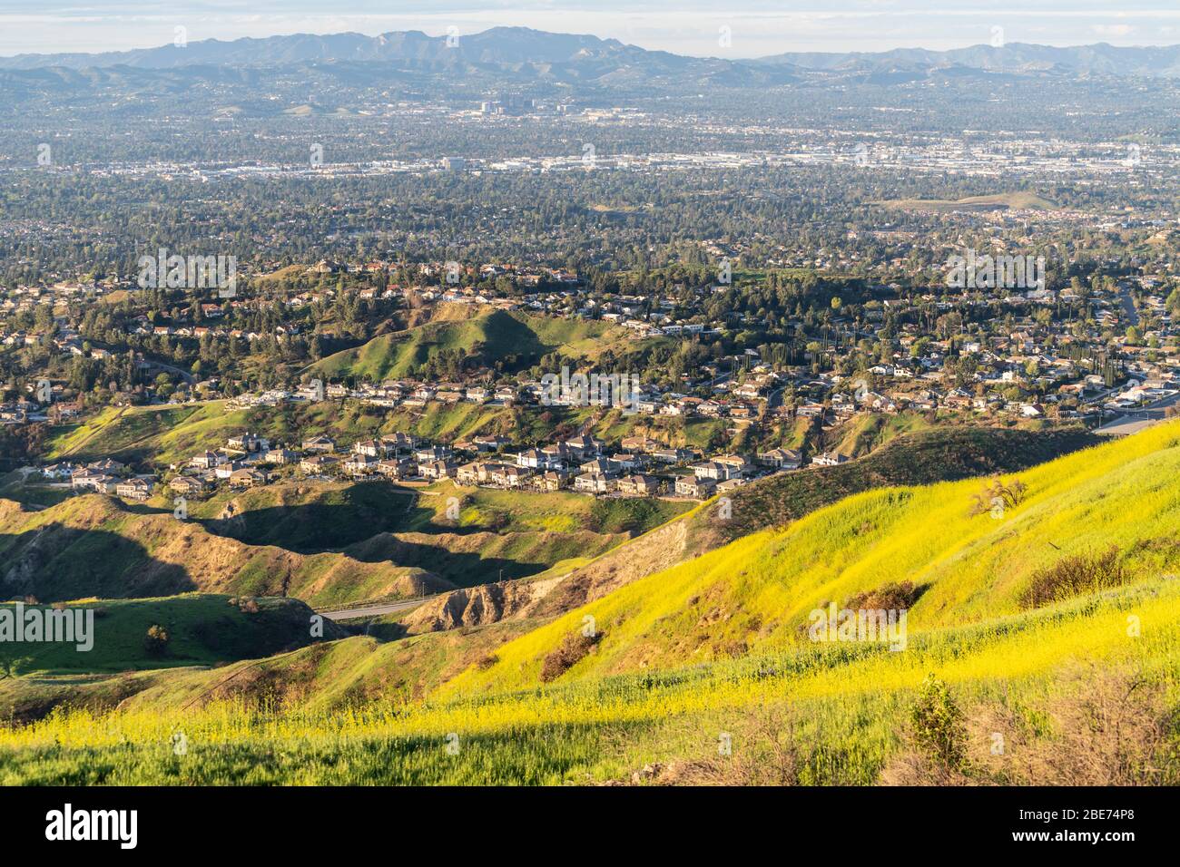 Wildflower Berghänge und Valley View Häuser in der San Fernando Valley Gegend im Norden von Los Angeles, Kalifornien. Stockfoto