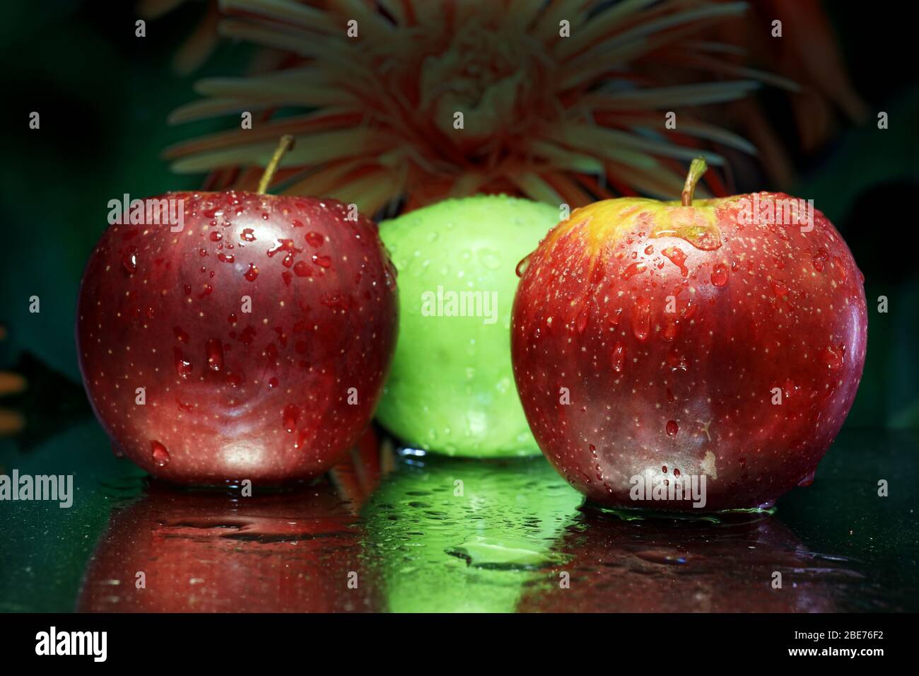 Food Photography: Farbbild von Äpfeln, die Nahaufnahme im Makro mit Wassertröpfchen und Reflexionen. Frisches Obst Bild zum Herunterladen oder Kunst. Stockfoto