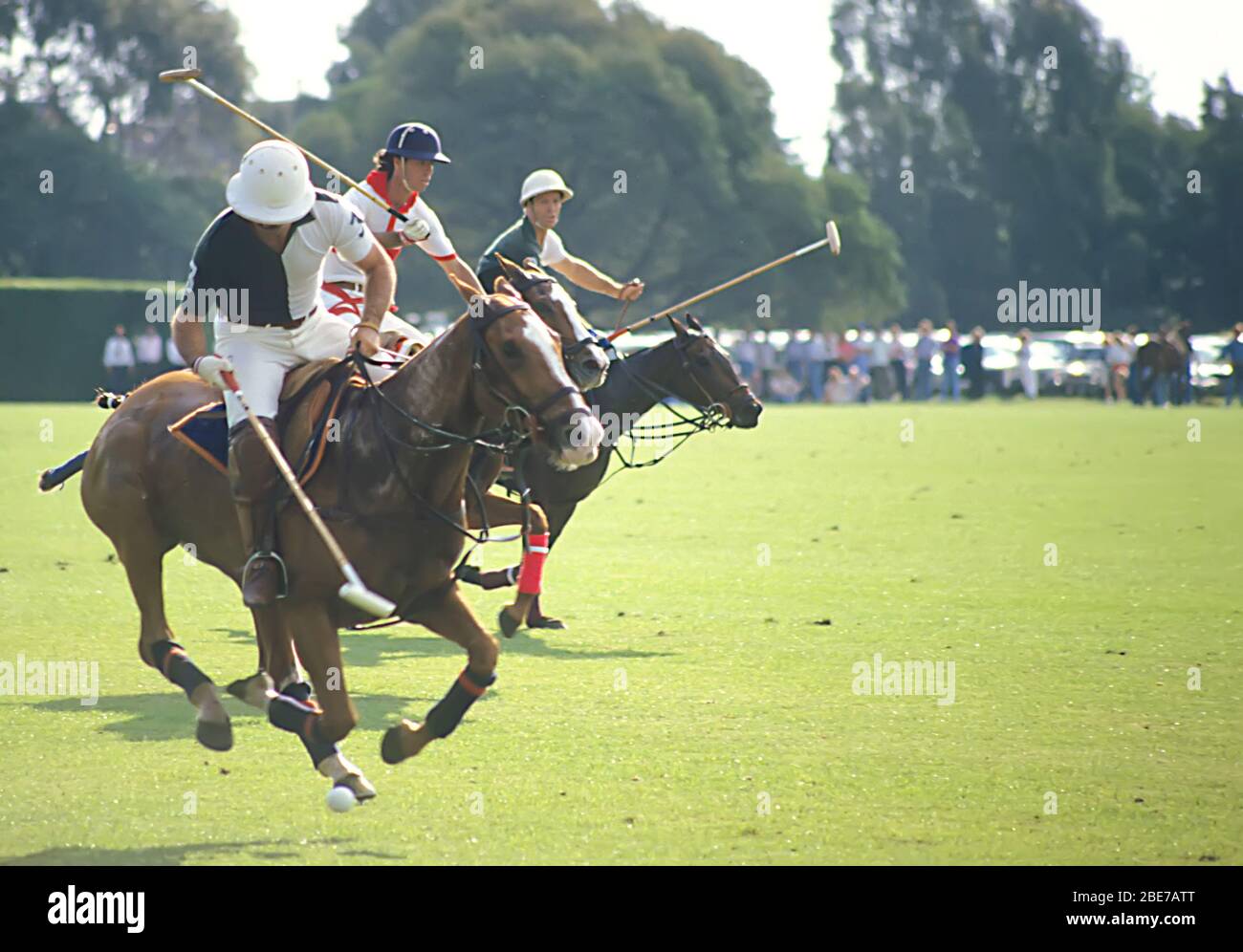 Polospieler auf dem Pferderücken während des Spiels, Buenos Aires, Argentinien Stockfoto