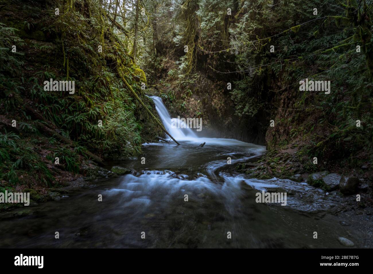 Wilder Fluss und Wasserfall in magischen Wald in Kanada Stockfoto