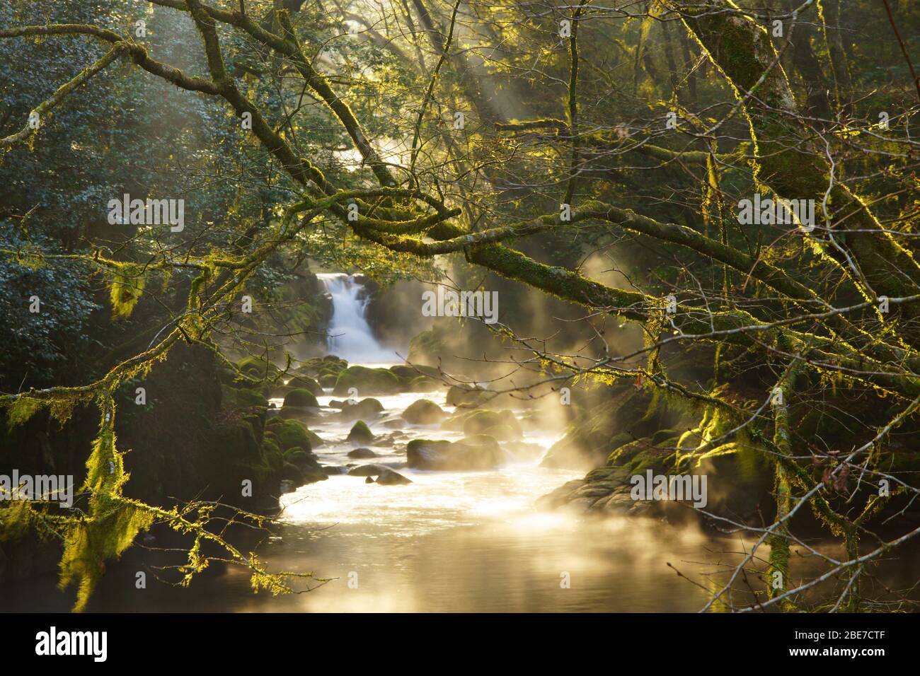 Kikuchi Schlucht, Präfektur Kumamoto, Japan Stockfoto