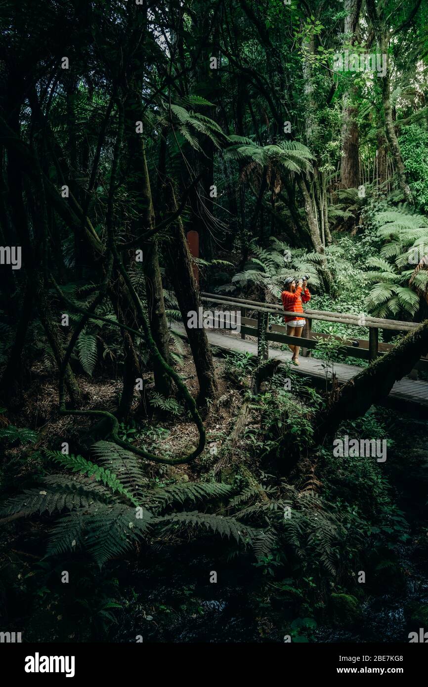 7/3/2020 Asiatische Frau nehmen Bilder innerhalb Mitai Maori Village, Neuseeland. Stockfoto