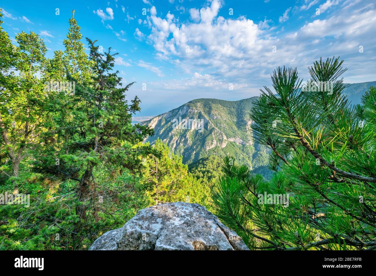 Naturlandschaft mit Pinien und Olympus Range. Pieria, Mazedonien, Griechenland Stockfoto
