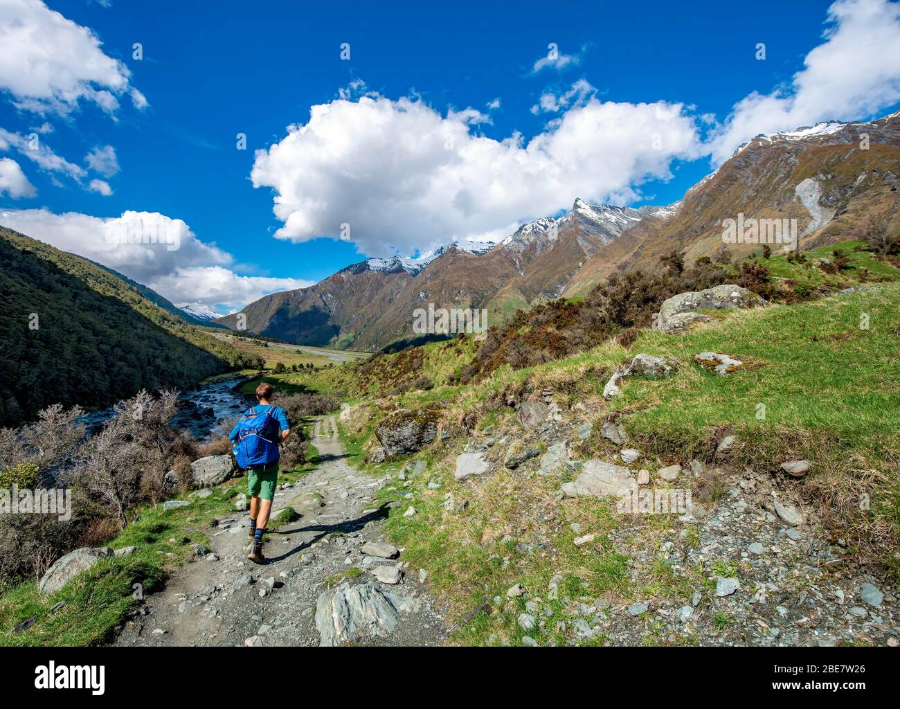 Wanderer auf dem Weg zum Rob Roy Gletscher, Rob Roy Stream, Mount Aspiring Nationalpark, Otago, South Island, Neuseeland Stockfoto