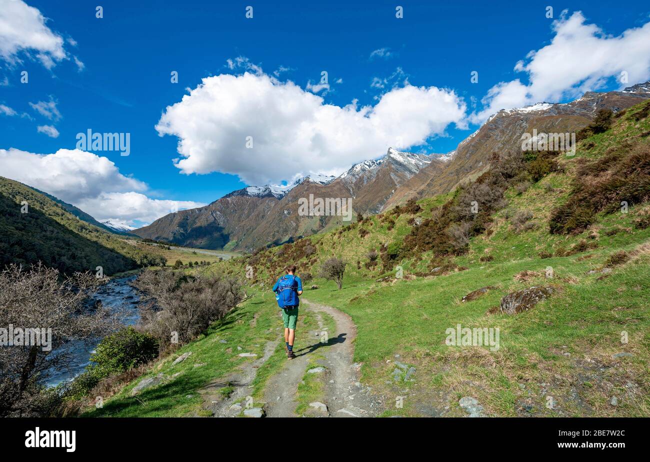 Wanderer auf dem Weg zum Rob Roy Gletscher, Rob Roy Stream, Mount Aspiring Nationalpark, Otago, South Island, Neuseeland Stockfoto