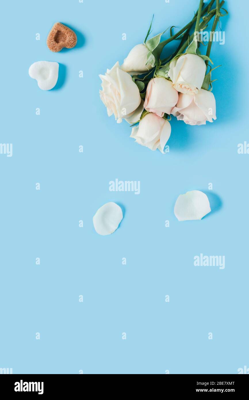 Vertikale Morgenkarte. Weiße Rosen auf blauem Grund mit verstreuten Kronblättern und zwei Stück Zucker in Form von Herzen. Stockfoto