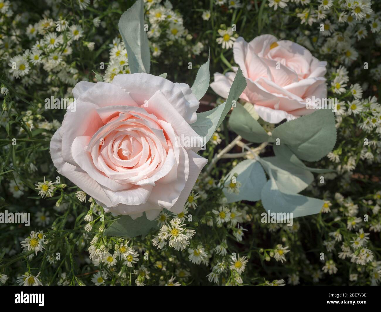 Schönheit rosa Rosen Ornament mit weißen kleinen Blüten auf grünen Blättern Hintergrund, weichen Vintage-Ton. Stockfoto