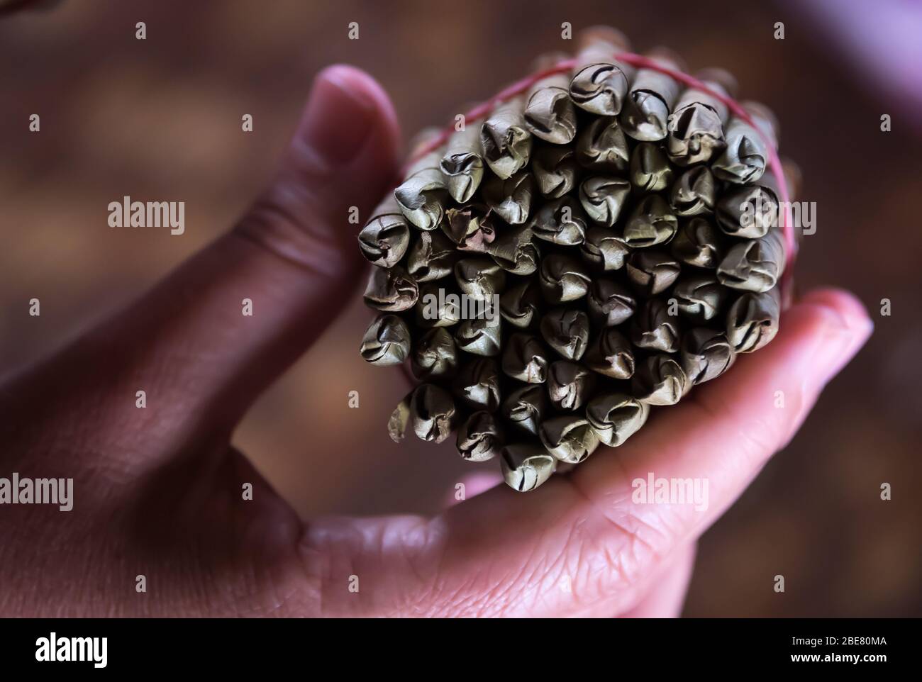 Handgerollte Zigarren aus Inle Lake. Myanmar Stockfoto