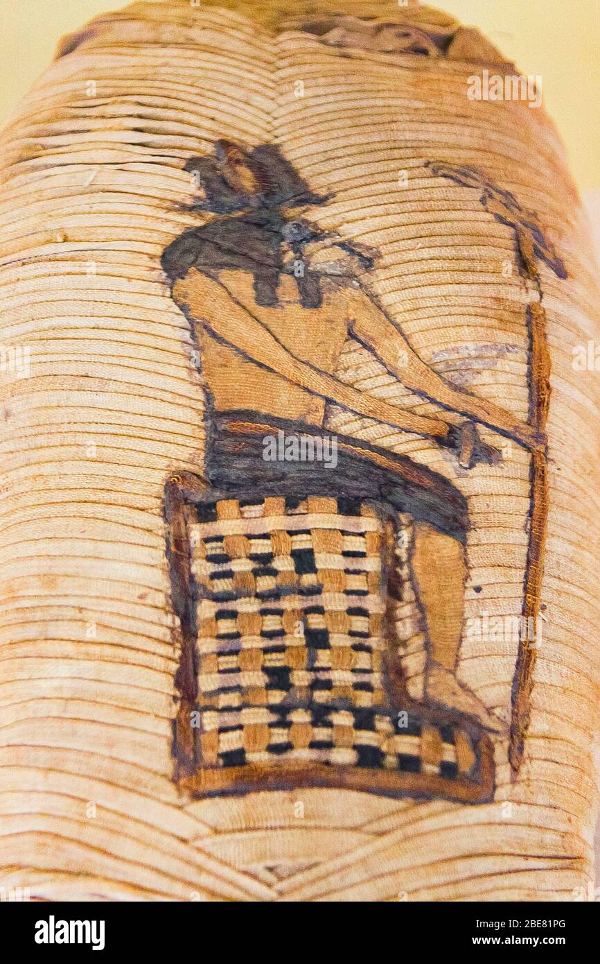 Ägypten, Mittelägypten, Museum von Mallawi, Fotos aus dem Jahr 2009, vor der Plünderung im Jahr 2013. Detail einer Ibis-Mumie, mit dem gott Thot als Ibis. Stockfoto