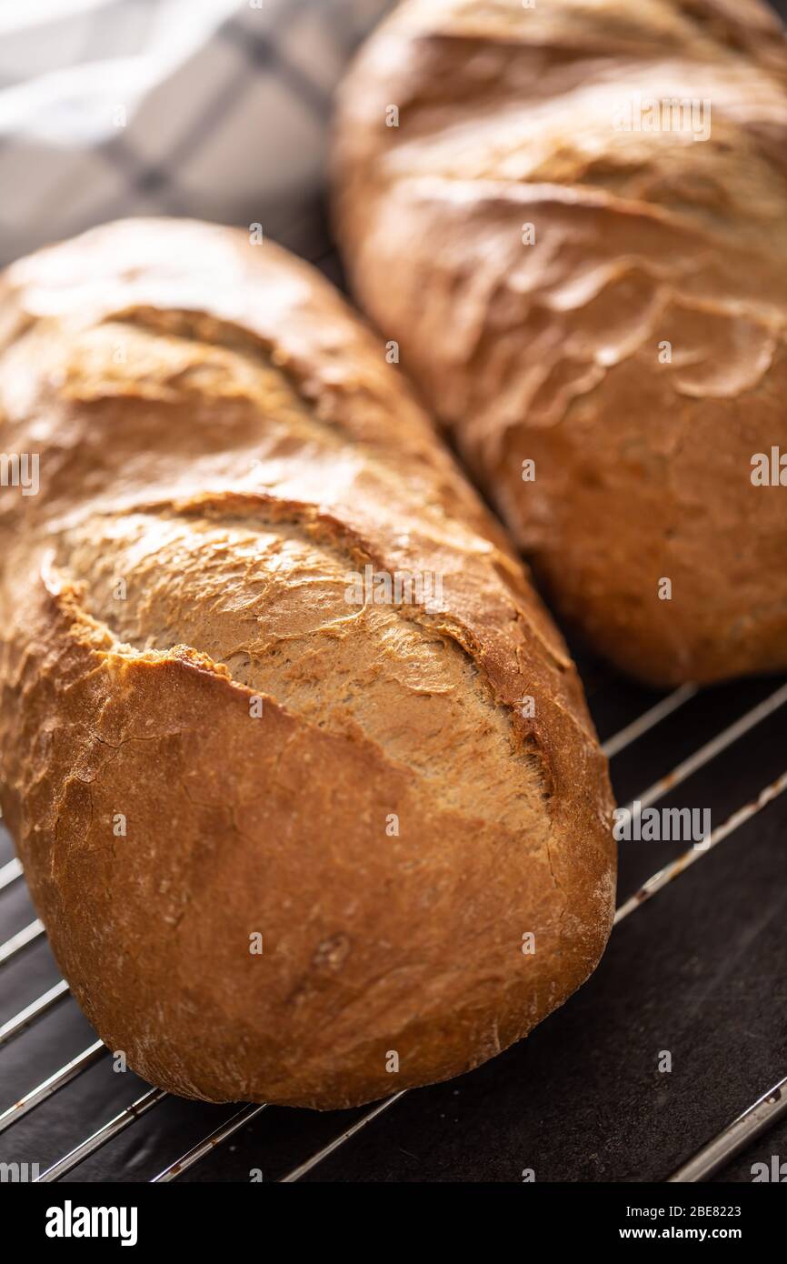 Frisch gebackenes Brot auf Metallgitter Nahaufnahme Porträt platziert. Stockfoto