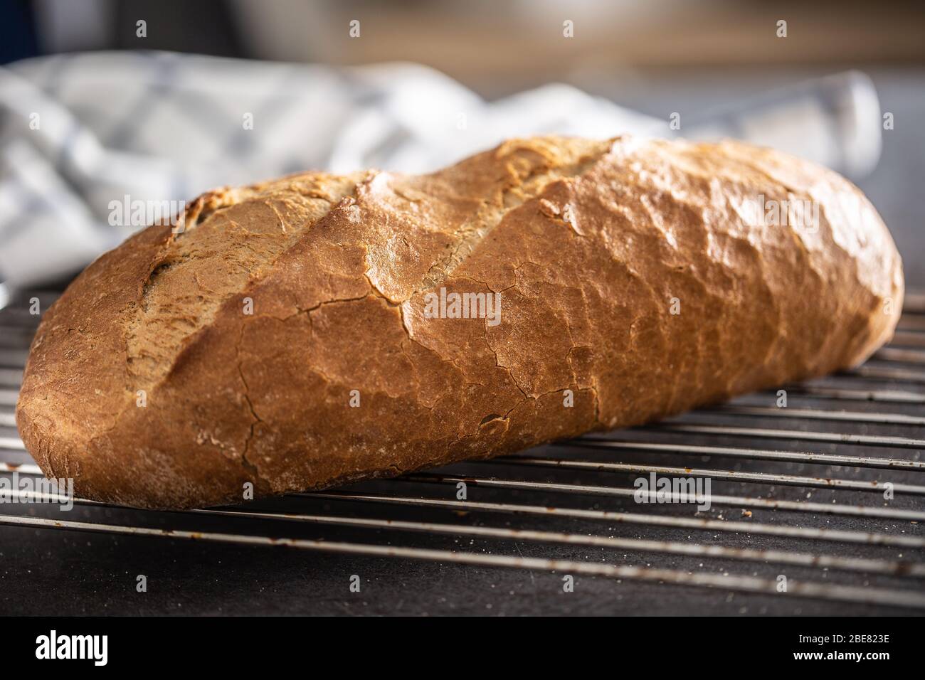 Frisches knuspriges Brot, das in der Küche auf einem Metallgitter steht. Stockfoto