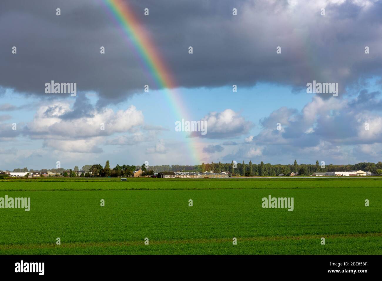 Regenbogen im bewölkten Himmel über den Blumenfeldern von Lisse in den Niederlanden. Stockfoto