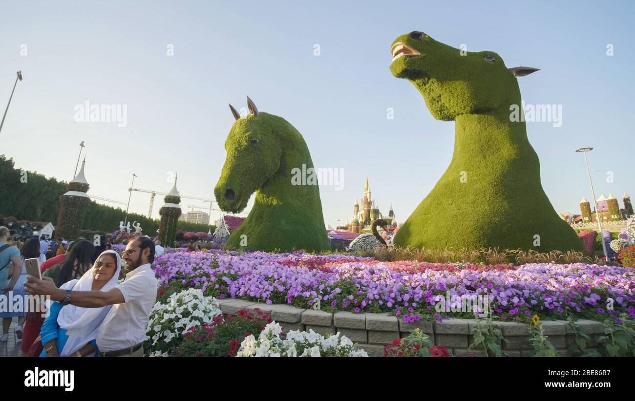 Dubai, VAE - 14. Dezember 2019: Ausstellung von Pferden im Garten der Wunder in Dubai. Stockfoto