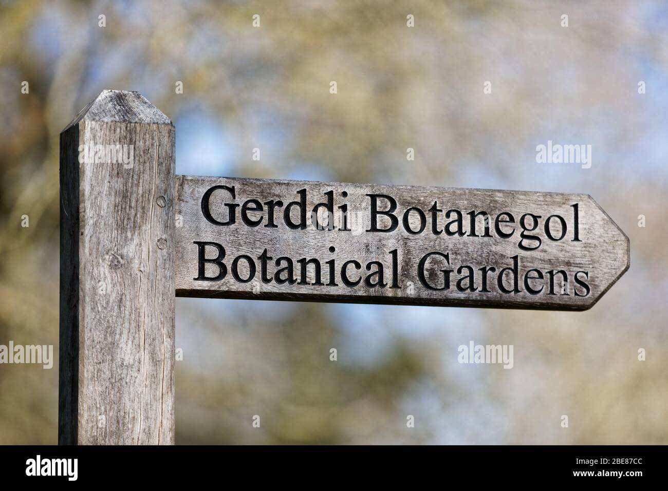Ein zweisprachiges Botanisches Garten / Gerddi Botanegol Schild in Englisch und Walisisch in Singleton Park, Swansea, Wales, Großbritannien. Freitag, 27. März 2020 Stockfoto