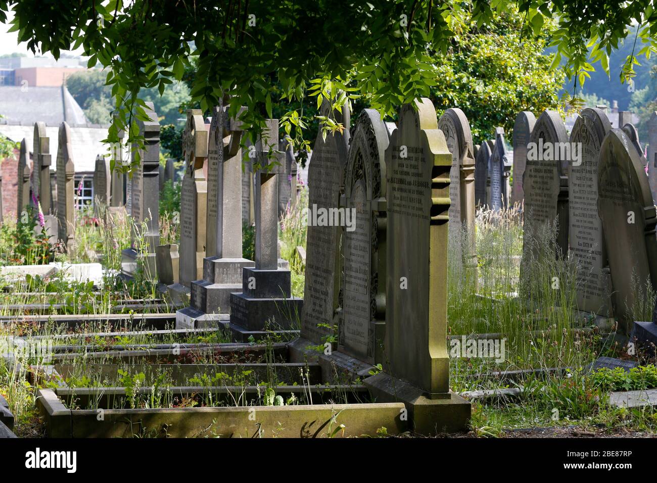 Der Grabstein mit dem Namen Eleanor Rigby in der St Peters Church im Woolton Village Liverpool, wo John Lennon & Paul McCartney zum ersten Mal zusammen spielten Stockfoto