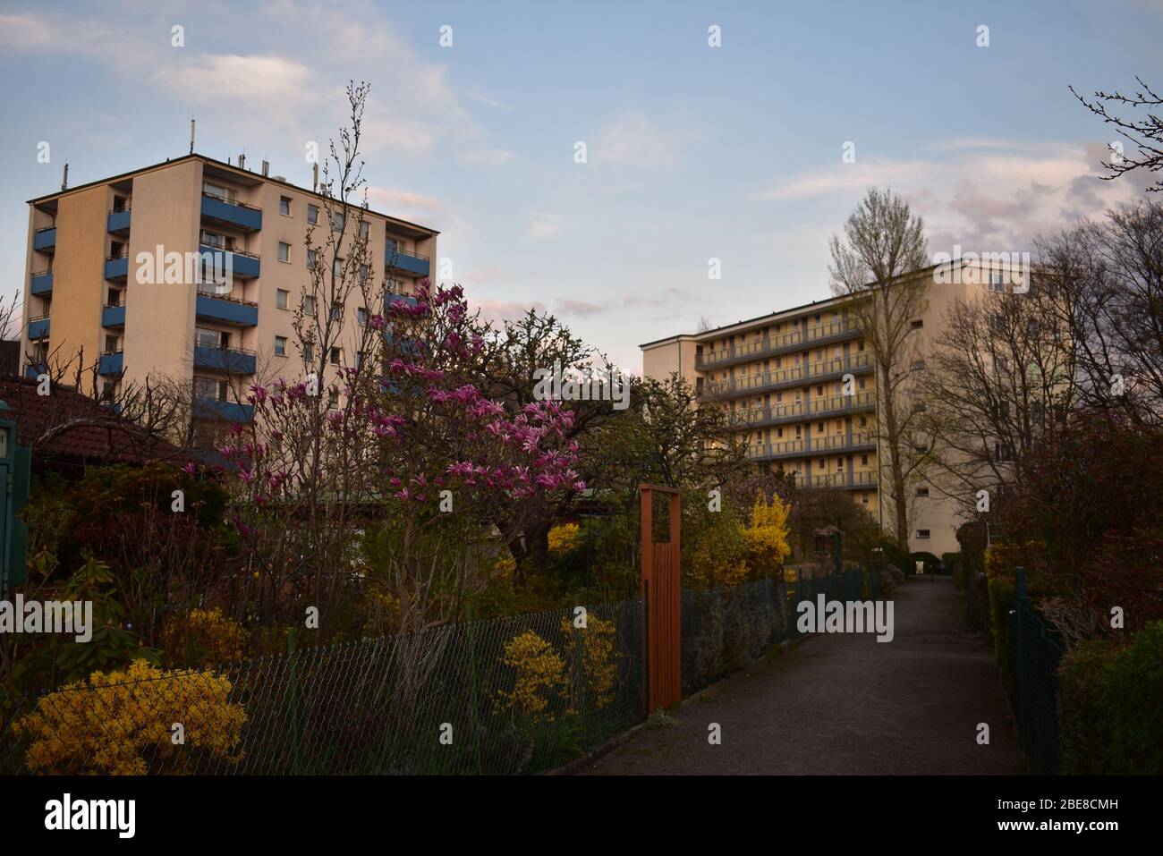 Kleingarten und Mehrfamilienhäuser in Tempelhof Berlin Stockfoto