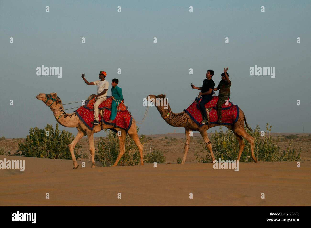 Touristen auf Kamelen in der Wüste, Jaislamer Bezirk, Rajasthan, Indien Stockfoto