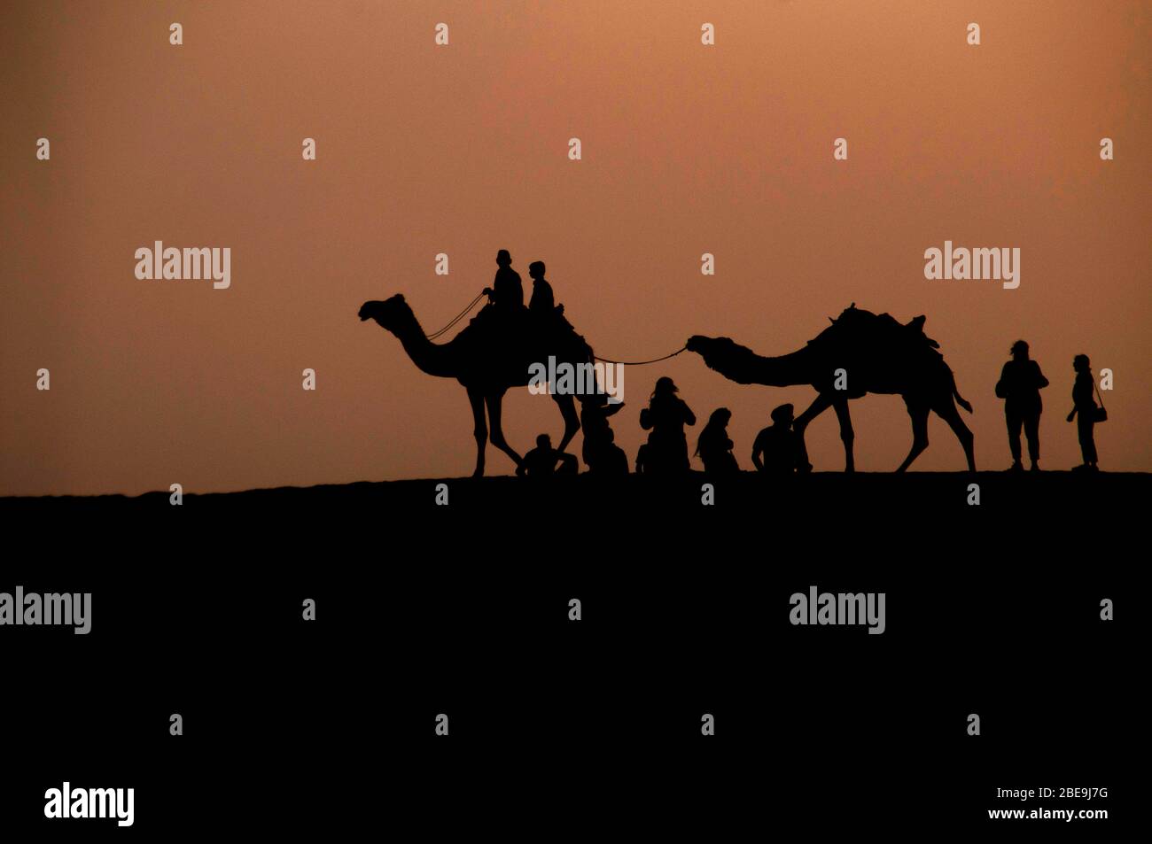 Silhouette von Touristen auf Kamelen in der Wüste, Jaislamer Bezirk, Rajasthan, Indien Stockfoto