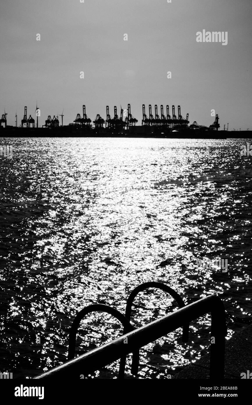 Krane im Hamburger Hafen und an der Elbe im Gegenlicht Stockfoto