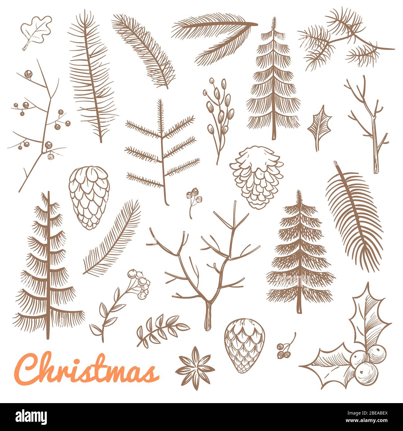 Handgezeichnete Tannenzweige Und Tannenzweige Tannenzapfen Weihnachten Und Winterferien Doodle Vektor Design Elemente Zweig Der Kiefer Und Immergrune Pflanze Illustration Stock Vektorgrafik Alamy