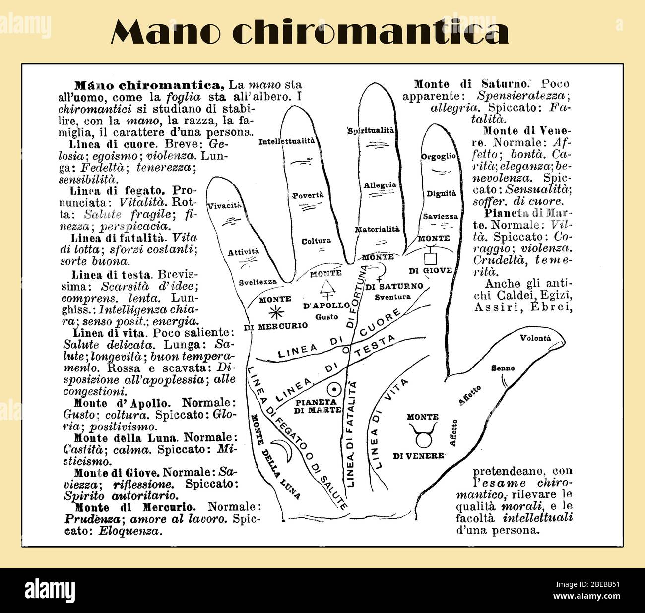 Populärkultur der Palme Lesen und voraussahen Zukunft: Chiromantic Hand mit italienischen Beschreibungen von Linien und Halterungen aus einem Lexikon Anfang '900 Stockfoto