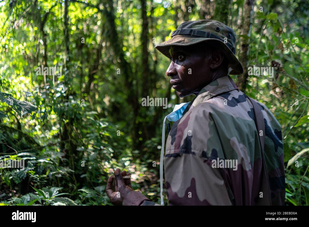 Ein Ranger führt uns tiefer in den kongolesischen Regenwald, auf der Suche nach Gorillas, die im Nebel versteckt sind, an der flüchtigen östlichen Grenze des riesigen Landes. Stockfoto