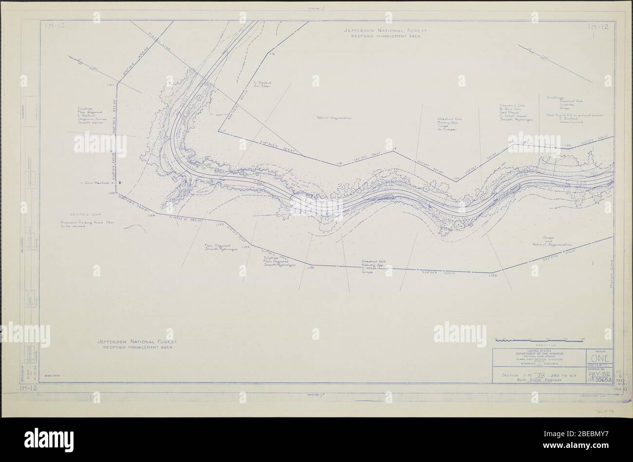 'Blue Ridge Parkway, Region 1 Blatt 12; EINE Karte des Blue Ridge Parkway mit Details über die nahe gelegenen Bäume, Sträucher und Sämlinge. Enthält Petite's Gap. Zeichnung Nr. 1H-12. Skala 1=100.; Datum Juni 19445 QS:P571,+1945-06-00T00:00:00Z/10; ' Stockfoto