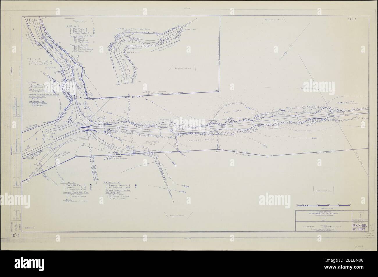 'Blue Ridge Parkway Karte, Region 1 Blatt 1; EINE Karte des Blue Ridge Parkway mit Details über die nahe gelegenen Bäume, Sträucher und Sämlinge. Zeichnung Nr. IE-1. Skala 1=100.; März 1951 Datum QS:P571,+1951-03-00T00:00:00Z/10; ' Stockfoto
