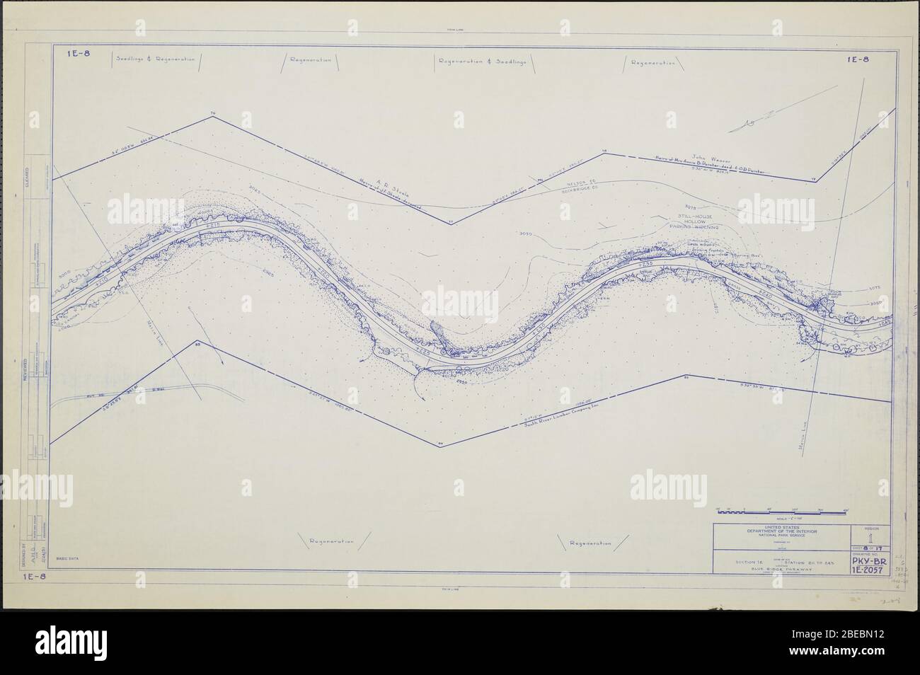 'Blue Ridge Parkway, Region 1 Blatt 8; EINE Karte des Blue Ridge Parkway mit Details über die nahe gelegenen Bäume, Sträucher und Sämlinge. Zeichnung Nr. 1E-8. Skala 1=100.; Februar 1951 Datum QS:P571,+1951-02-00T00:00:00Z/10; ' Stockfoto