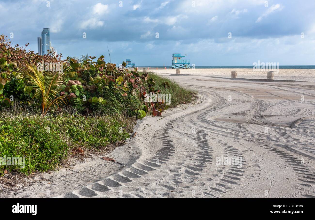 Reifenspuren an einem Sandstrand, Miami, Florida, USA. Stockfoto