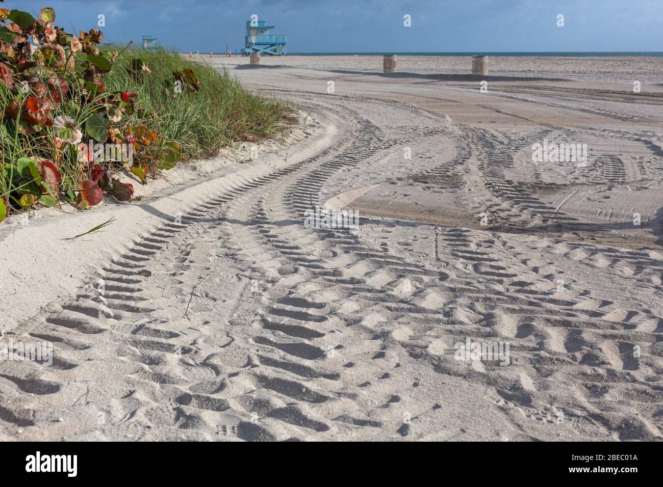 Reifenspuren an einem Sandstrand, Miami, Florida, USA. Stockfoto