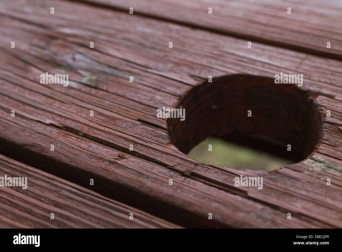 Holzkörner sichtbar von verwitterten Pechtäfig Platten braun lackiert Stockfoto