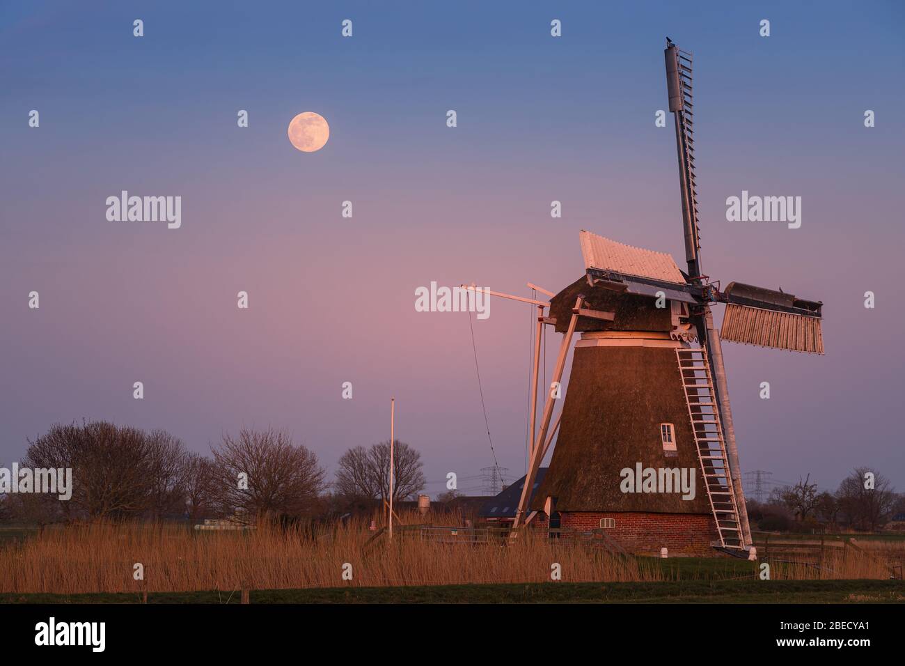 Sonnenuntergang und Vollmond bei Windmühle Meervogel am Hoeksmeer, nahe Garrelsweer in der Provinz Groningen, Niederlande Stockfoto