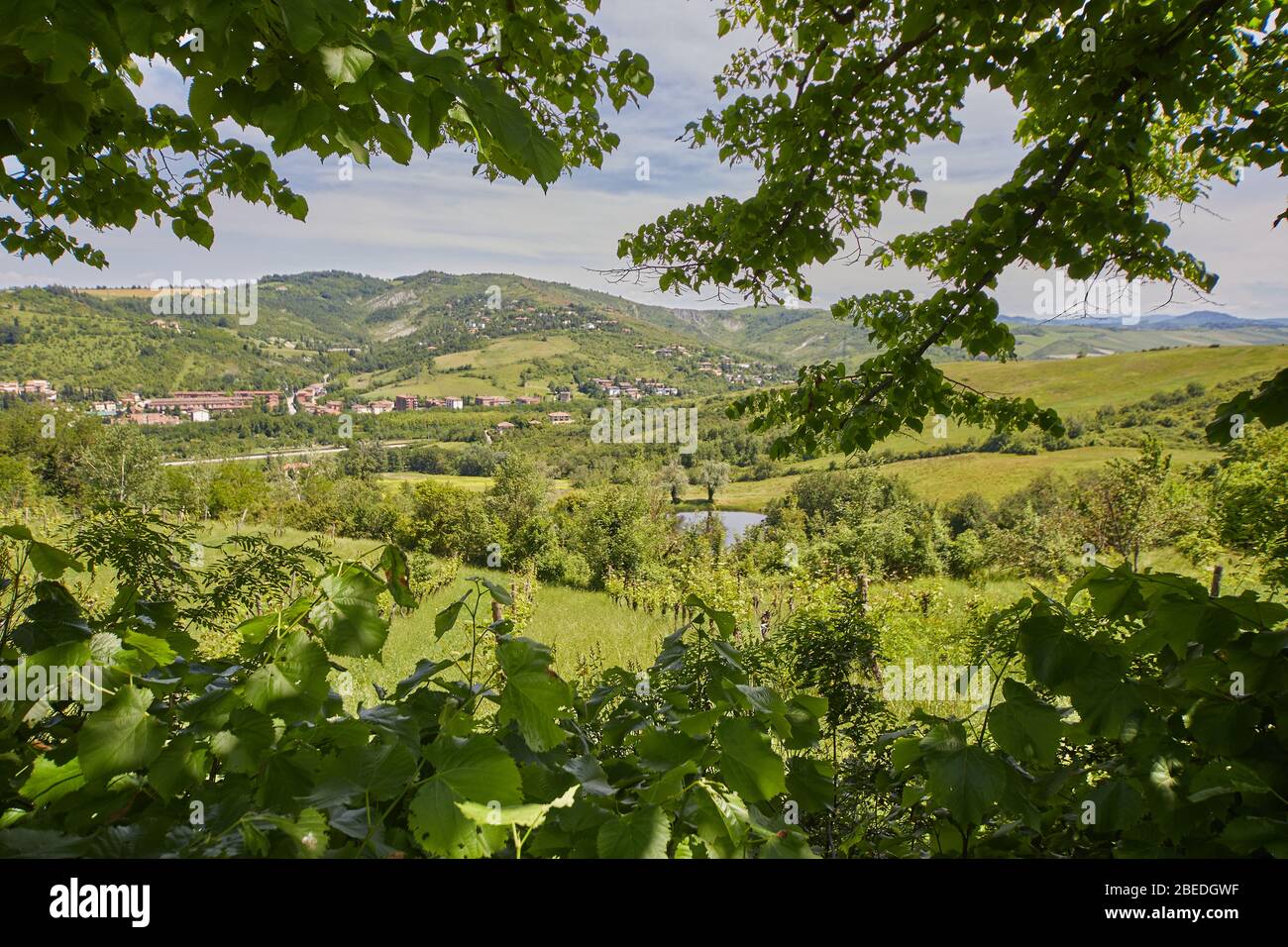 Colli Bolognesi, Italien Weingebiet südwestlich von Bologna, Italien Stockfoto