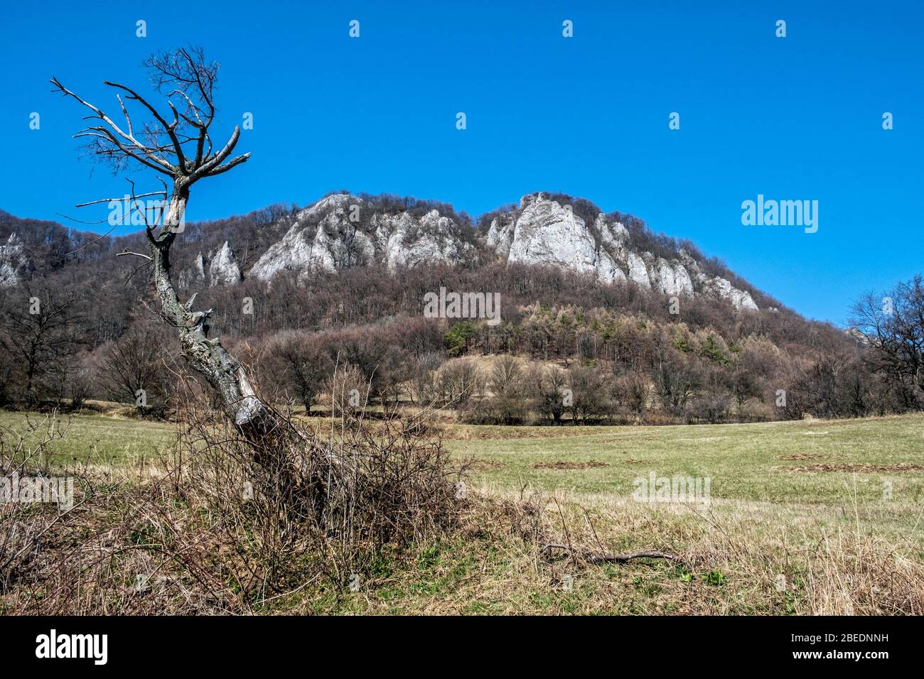 Vrsatzke Felsen, Weiße Karpaten in der Slowakischen republik. Saisonale natürliche Szene. Wanderthema. Stockfoto