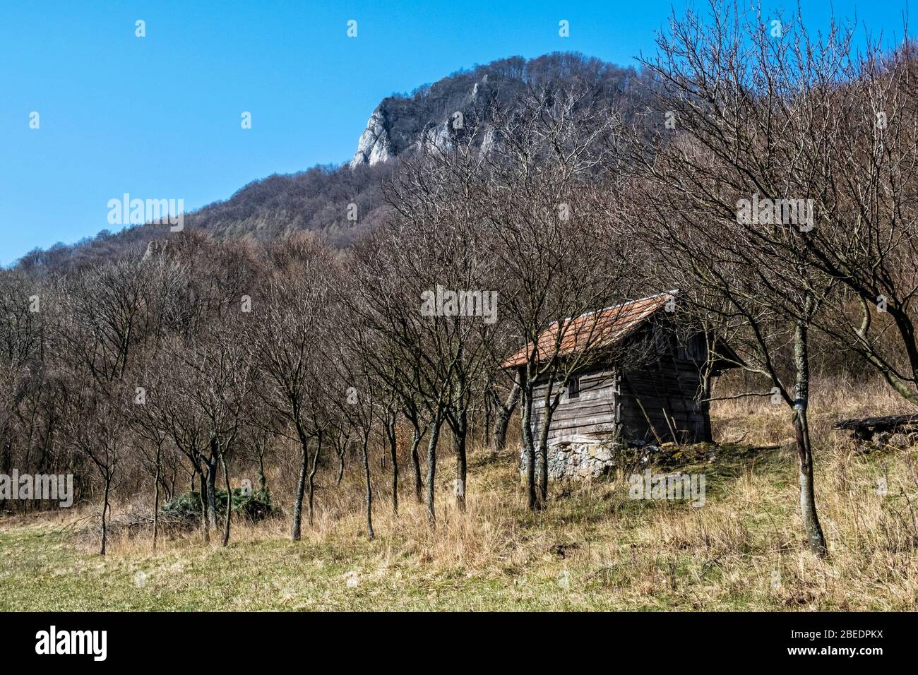 Altes Tierheim, Felsen von Vrsatzke, Berge der Weißen Karpaten, Slowakische republik. Saisonale natürliche Szene. Wanderthema. Stockfoto