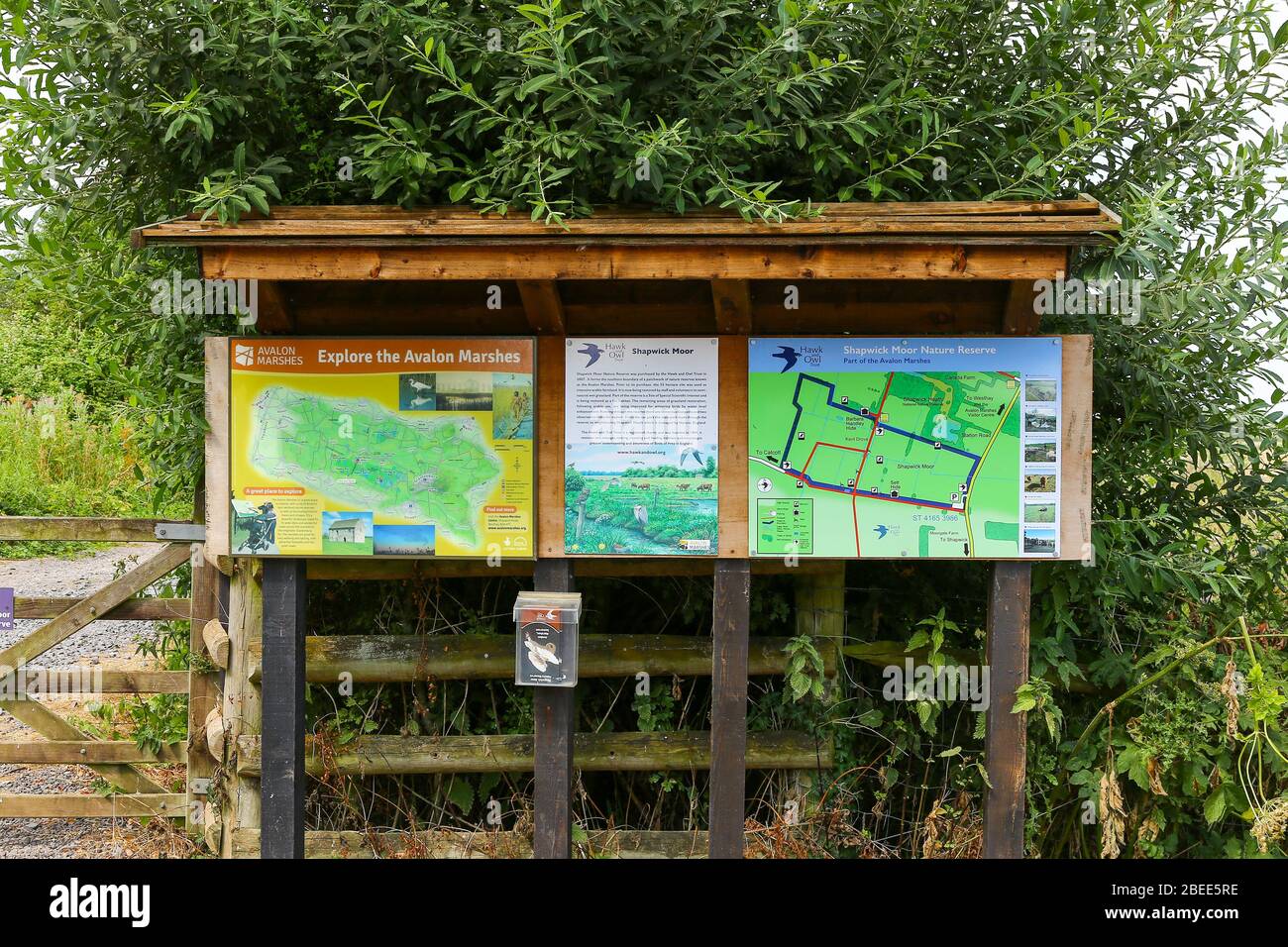 Eine Informationstafel im Shapwick Moor Nature Reserve, Teil des Avalon Marshes, Somerset, England, Großbritannien Stockfoto