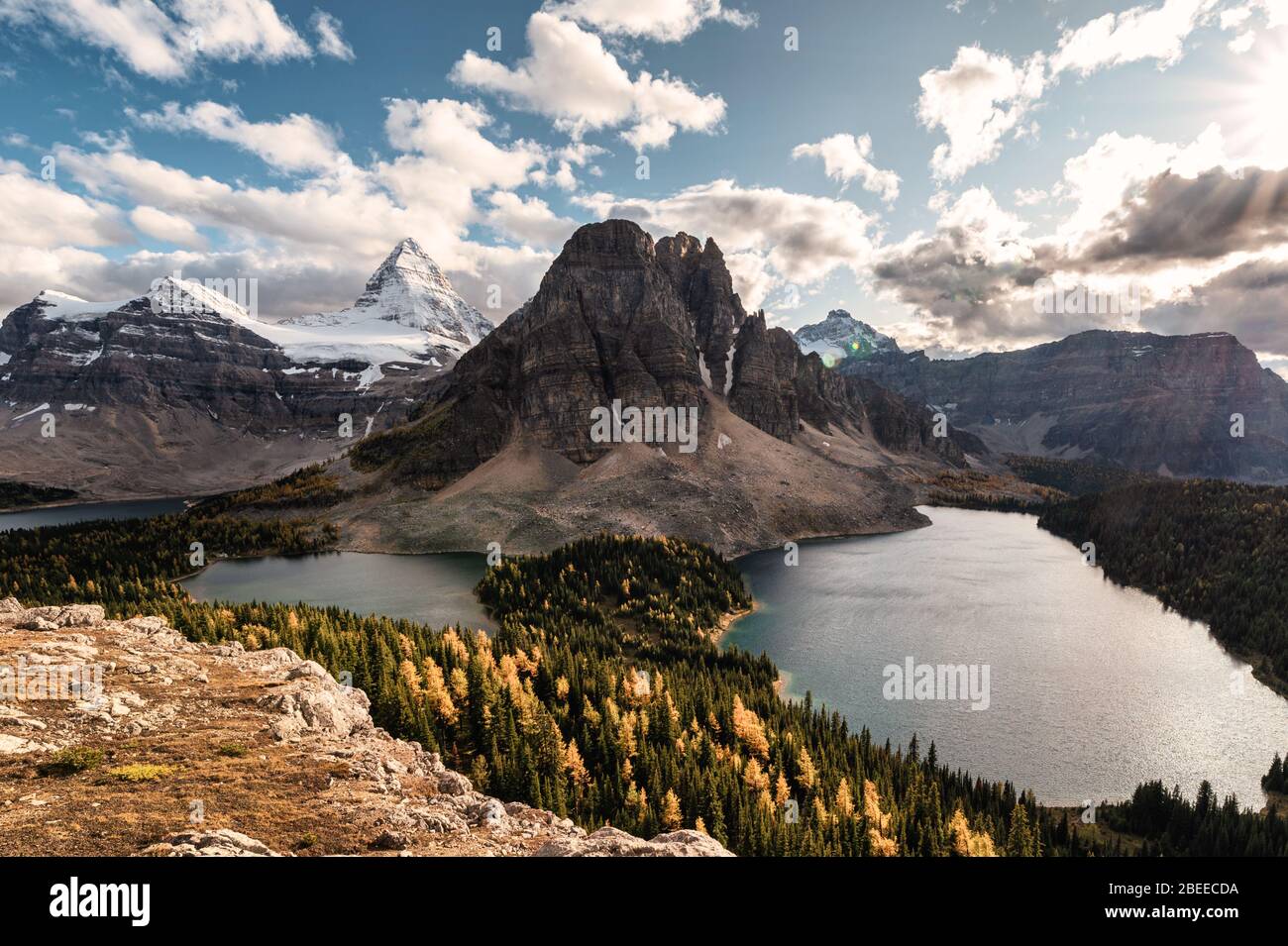 Mount Assiniboine mit See im Herbstwald auf Nublet Gipfel in Provincial Park, BC, Kanada Stockfoto