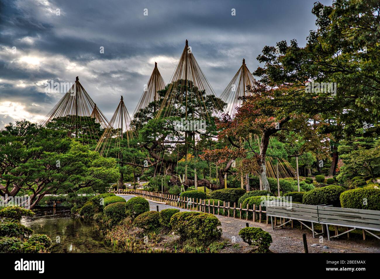 Yukitsuri, Seilstützen für Baumzweige im Kenroku-en Garden, einem der drei Großen Gärten Japans, Kanazawa, Ishikawa, Japan. Stockfoto