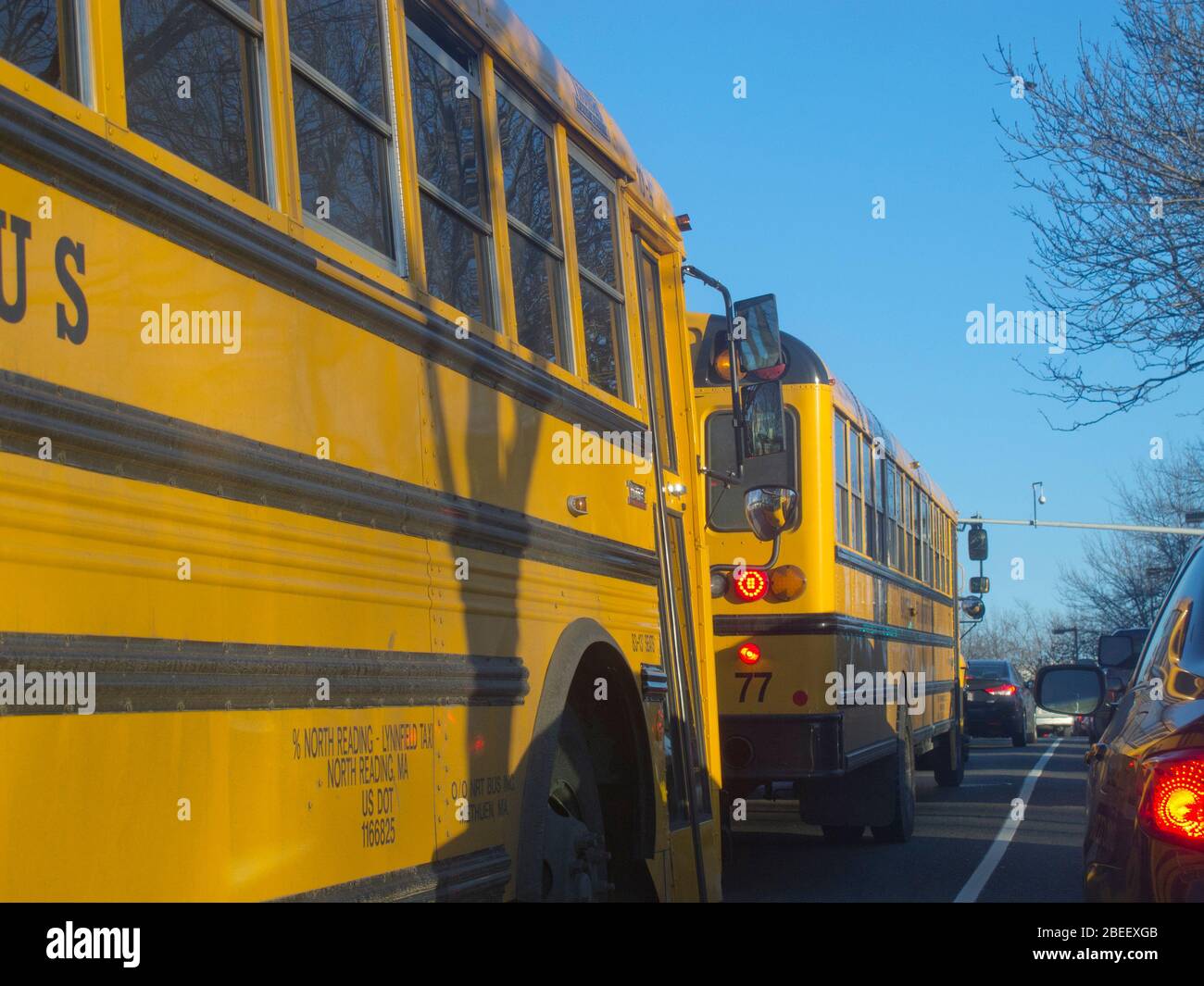 Schulbusse auf Melnea Cass Boulevard Boston Massachusetts USA Stockfoto