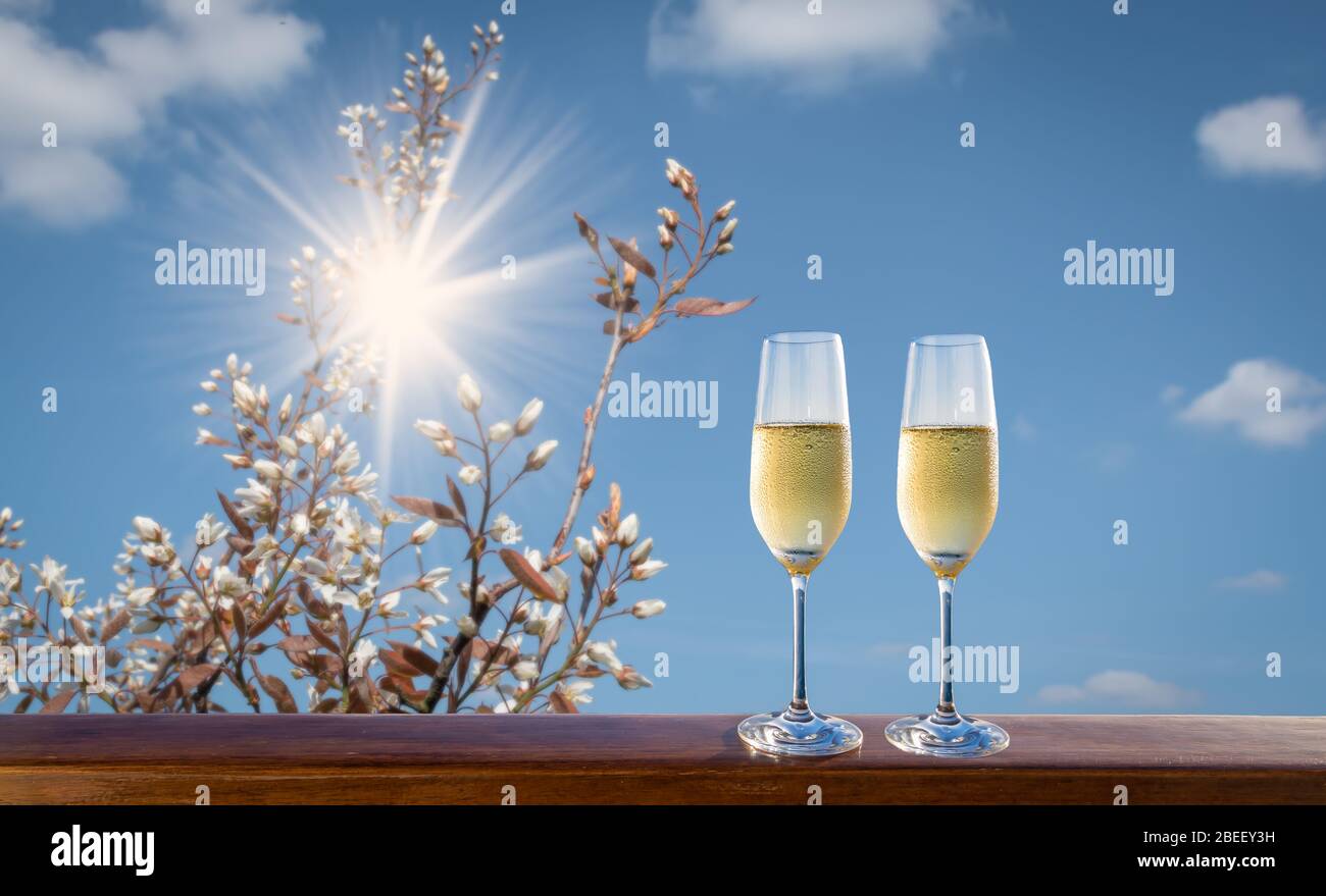 Zwei Gläser Champagner gegen blauen Himmel. Verwischte Frühlingsblüte im Hintergrund. Stockfoto