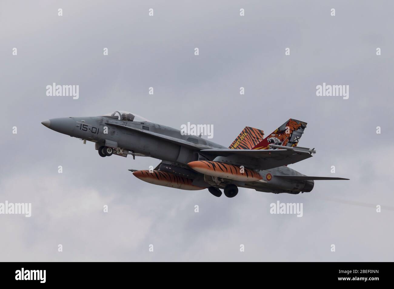 Spanische Luftwaffe McDonnell Douglas EF-18 Hornet bei NATO Tiger Treffen 2019 bei der französischen Luftwaffe Mont de Marsan BA118 Basis Stockfoto