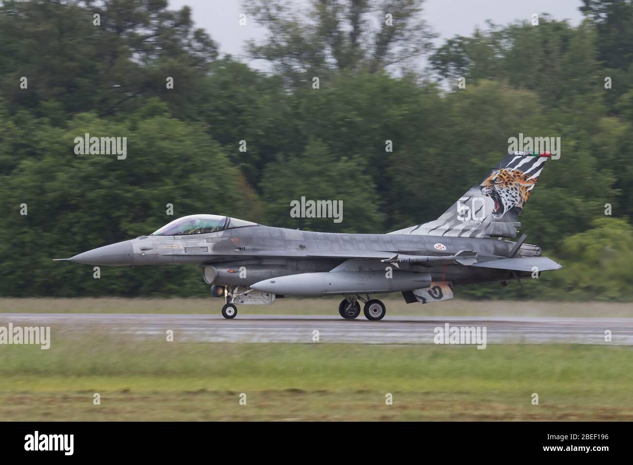 General Dynamics der portugiesischen Luftwaffe F-16AM von Esquadra 301 bei NATO Tiger Treffen 2019 bei der französischen Luftwaffe Mont de Marsan BA118 Basis Stockfoto