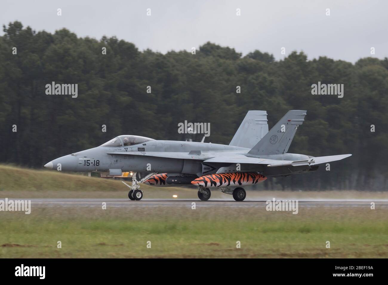Spanische Luftwaffe McDonnell Douglas EF-18 Hornet bei NATO Tiger Treffen 2019 bei der französischen Luftwaffe Mont de Marsan BA118 Basis Stockfoto