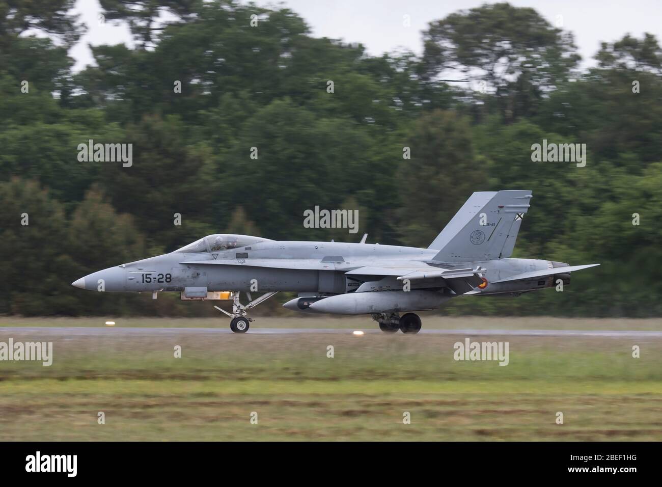 Spanische Luftwaffe McDonnell Douglas EF-18 Hornet bei NATO Tiger Treffen 2019 bei der französischen Luftwaffe Mont de Marsan BA118 Basis Stockfoto