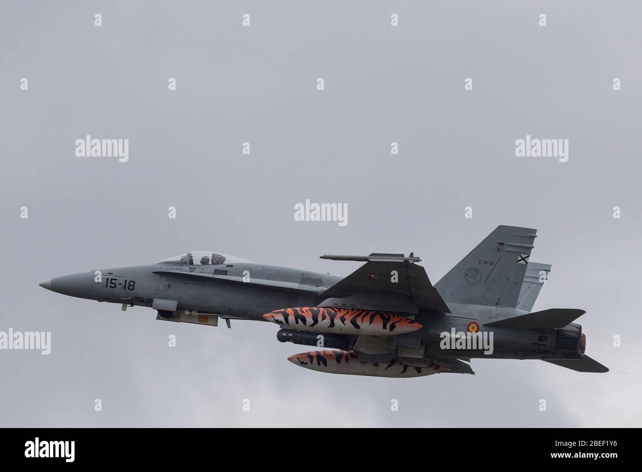 Spanische Luftwaffe McDonnell Douglas EF-18 Hornet bei NATO Tiger Treffen 2019 bei der französischen Luftwaffe Mont de Marsan BA118 Basis Stockfoto